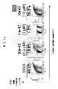 Fig. 18 - Process for the preparation of small molecule inhibitors of MDM2 and intermediates used therein