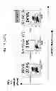 Fig. 20 - Process for the preparation of small molecule inhibitors of MDM2 and intermediates used therein