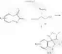 Fig. 29 - Process for the preparation of small molecule inhibitors of MDM2 and intermediates used therein