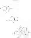 Fig. 30 - Process for the preparation of small molecule inhibitors of MDM2 and intermediates used therein