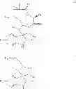 Fig. 43 - Process for the preparation of small molecule inhibitors of MDM2 and intermediates used therein