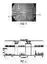 Fig. 02 - Sensor for measuring the activity of beta-pancreatic cells or of islets of langerhans, manufacture and use of such a sensor
