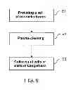 Fig. 06 - Sensor for measuring the activity of beta-pancreatic cells or of islets of langerhans, manufacture and use of such a sensor