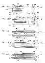 Fig. 04 - Automatic injection device