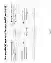 Fig. 20 - Systems and methods for global transfers