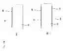 Fig. 15 - Ultrasonic Probe, Production Method Therefor, and Ultrasonic Diagnostic Apparatus