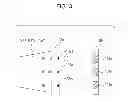 Fig. 04 - Photoacoustic apparatus and method for controlling the same