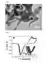 Fig. 07 - METHOD FOR INDUCING A VOLUMETRIC CHANGE IN A NANOPOROUS MATERIAL