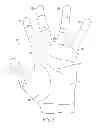 Fig. 08 - Ergonomic handle for power tool
