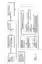 Fig. 02 - Natural rubber initial processing machinery and method