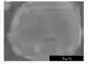 Fig. 01 - POSITIVE ELECTRODE ACTIVE SUBSTANCE PRECURSOR PARTICLES, POSITIVE ELECTRODE ACTIVE SUBSTANCE PARTICLES AND NON-AQUEOUS ELECTROLYTE SECONDARY BATTERY
