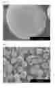 Fig. 03 - POSITIVE ELECTRODE ACTIVE SUBSTANCE PRECURSOR PARTICLES, POSITIVE ELECTRODE ACTIVE SUBSTANCE PARTICLES AND NON-AQUEOUS ELECTROLYTE SECONDARY BATTERY