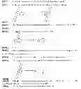 Fig. 02 - Identification method for simultaneously identifying multiple touch points on touch screens