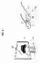 Fig. 03 - EYEWEAR DEVICE