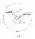 Fig. 09 - Portable retinal camera and image acquisition method