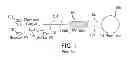 Fig. 02 - Method of making a fiber optic gyroscope