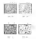 Fig. 02 - System, method and apparatus for increasing surface solar reflectance of roofing
