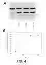 Fig. 07 - Molecular biosensors capable of signal amplification