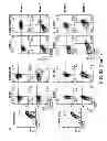 Fig. 47 - Methods for Diagnosis, Prognosis and Methods of Treatment