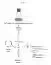 Fig. 02 - Methods for isotopically labeling biomolecules using mammalian cell-free extracts