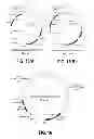 Fig. 09 - DNA CONSTRUCT, AND PROCESS FOR PRODUCTION OF RECOMBINANT CHO CELL USING SAME