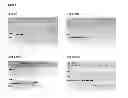 Fig. 08 - DNA polymerases