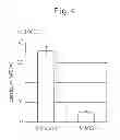 Fig. 08 - NOVEL ALLENE OXIDE SYNTHASE DERIVED FROM LEMNA PAUCICOSTATA