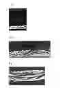 Fig. 02 - High-density fabric