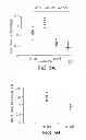 Fig. 07 - KLF6 ALTERNATIVE SPLICE FORMS AND A GERMLINE KLF6 DNA POLYMORPHISM ASSOCIATED WITH INCREASED CANCER RISK