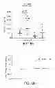 Fig. 08 - KLF6 ALTERNATIVE SPLICE FORMS AND A GERMLINE KLF6 DNA POLYMORPHISM ASSOCIATED WITH INCREASED CANCER RISK