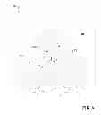 Fig. 07 - LUMINESCENT TETRAPODS DOTS AND VARIOUS APPLICATIONS