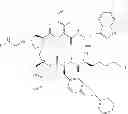 Fig. 07 - Pharmaceutical Composition Comprising Cyclic Somatostatin Analogues