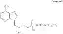 Fig. 06 - Nucleoside phosphonate salts