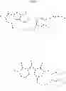 Fig. 08 - Macrocyclic integrase inhibitors