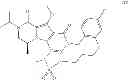 Fig. 121 - Macrocyclic integrase inhibitors