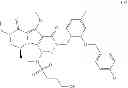 Fig. 124 - Macrocyclic integrase inhibitors