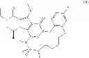 Fig. 126 - Macrocyclic integrase inhibitors