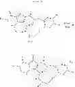 Fig. 13 - Macrocyclic integrase inhibitors