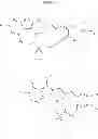 Fig. 14 - Macrocyclic integrase inhibitors