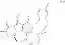 Fig. 153 - Macrocyclic integrase inhibitors