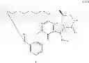 Fig. 170 - Macrocyclic integrase inhibitors