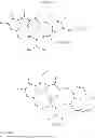 Fig. 18 - Macrocyclic integrase inhibitors