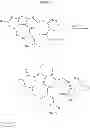Fig. 19 - Macrocyclic integrase inhibitors