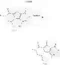 Fig. 20 - Macrocyclic integrase inhibitors