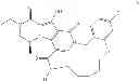 Fig. 204 - Macrocyclic integrase inhibitors