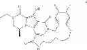 Fig. 205 - Macrocyclic integrase inhibitors