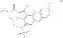 Fig. 207 - Macrocyclic integrase inhibitors
