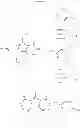 Fig. 21 - Macrocyclic integrase inhibitors