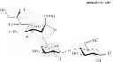 Fig. 07 - Production of 6′-O-sialyllactose and intermediates