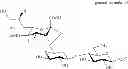 Fig. 09 - Production of 6′-O-sialyllactose and intermediates